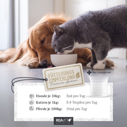 ReaVET Lachsöl für Hunde, Katzen & Pferde 5 Liter – Omega-3 Fischöl