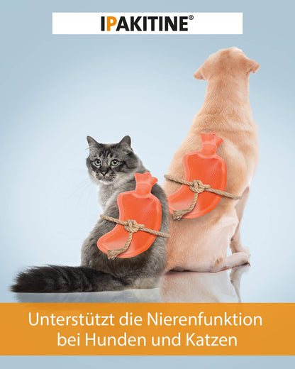 Vetoquinol Ipakitine 300 g Ergänzungsfuttermittel für Hunde und Katzen