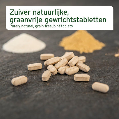 AniForte AgilityVet Gelenktabletten für Hunde, 300 Stück, getreidefrei