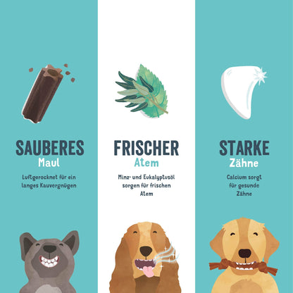 Edgard & Cooper Dental Sticks grosse Hunde Eukalyptus & Apfel 56 Stück