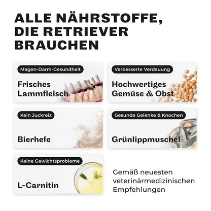 HEY HOLY Premium Trockenfutter für Retriever - Lamm getreidefrei 14kg