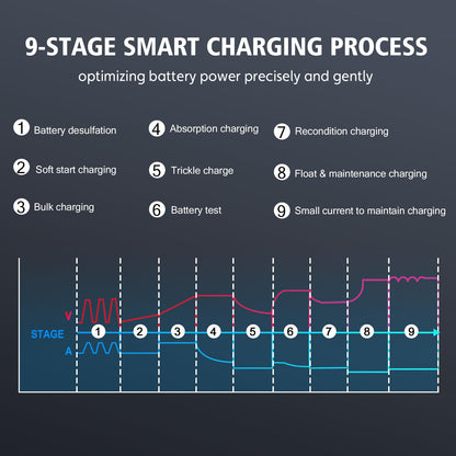HTRC 30A Batterieladegerät 6V/12V/24V für Auto Motorrad