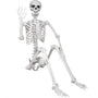 HorrorHaus 180cm Posierbares Ganzkörper Skelett – Halloween Deko 180-1P. Weißes, menschliches Knochengerüst zur flexiblen Gestaltung der Halloween-Dekoration.