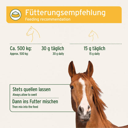 AniForte Indische Flohsamenschalen Pferd 2,5 kg Futterergänzung