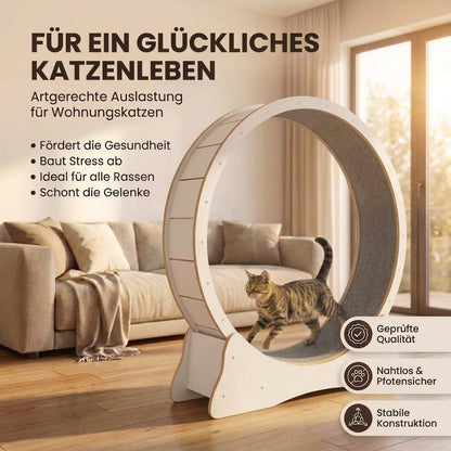 noviclass Katzenlaufrad Baghira XXL 132 cm Weiss für grosse Katzen