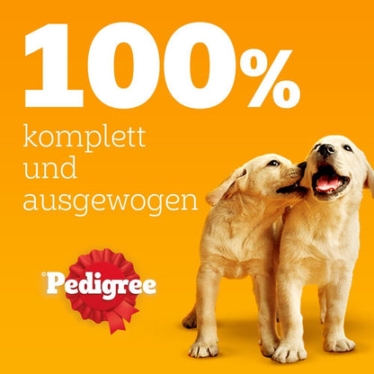 Pedigree Dogcare Hundefutter Junior Chunks in Gelee 84 x 100 g