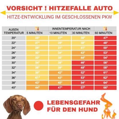 Schattennetz Auto Hund – Alu Hitzeschutz UV-Schutz 4x6 m