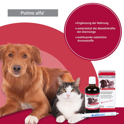 Alfavet Pulmo alfa Saft Doppelpack für Hund und Katze, 2 x 100 ml