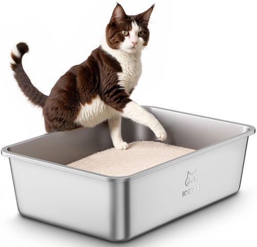 ICOYEA Katzenklo XXL aus Edelstahl, offen, 60x40x20 cm