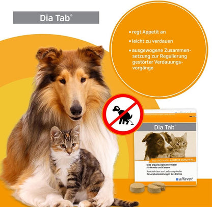 alfavet Dia Tab Kautabletten gegen Durchfall 60 Stk.