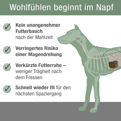 PLATINUM Puppy Chicken Hundetrockenfutter für Welpen 5 kg