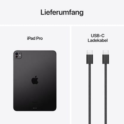 Apple iPad Pro 11" (M4) Tablet 256 GB Space Schwarz