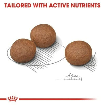 Royal Canin Digestive Care Medium - Hundefutter - 12 kg