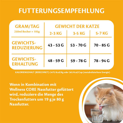Wellness CORE Sterilised Original Katzenfutter Huhn & Truthahn 4 kg