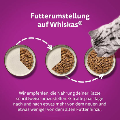 Whiskas Senior 7+ Katzennassfutter - Gemischte Auswahl Gelee 120x85g