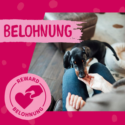 DOKAS Getreidefreier Premium Hundesnack Streifen Entenbrust 500g 6er Pack