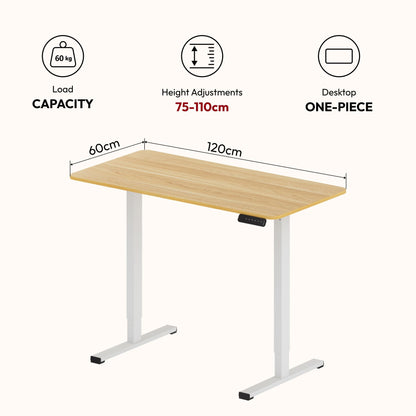 SANODESK Höhenverstellbarer Elektrischer Schreibtisch 120x60 Ahorn