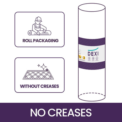 DEXI Schmutzfangmatte Innen Fussmatte - 92x142 cm Grau