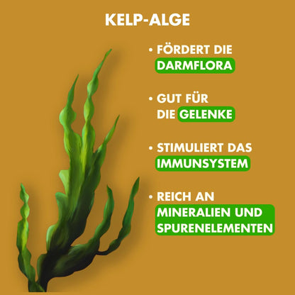 Irish Pure Hundetrockenfutter Adult - Freiland-Huhn 12kg