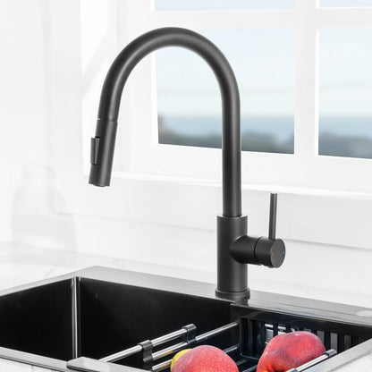 CECIPA SOFETIY SERIE Küchenarmatur Matt Schwarz Ausziehbar Hochdruck