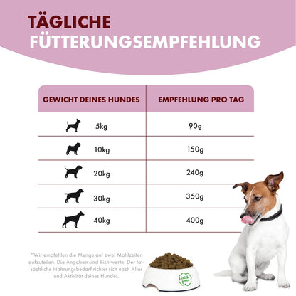 Irish Pure Trockenfutter Adult Hundefutter - Rind Huhn Getreidefrei 12kg