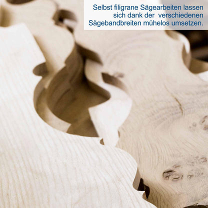 Scheppach HBS25 Bandsäge für Heimwerker und Werkstatt