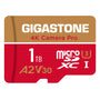 GIGASTONE 1TB MicroSDXC Speicherkarte - A2 V30 U3