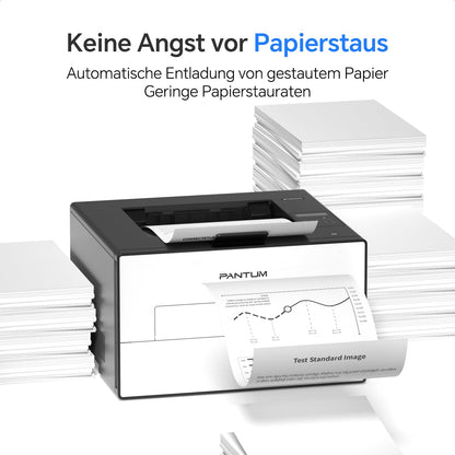 PANTUM BP4209DW Schwarz-Weiss-Laserdrucker mit Duplexdruck und WLAN