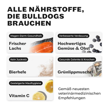 HEY HOLY Trockenfutter Bulldoggen Getreidefrei Lachs 14kg