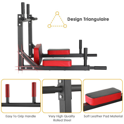FitSwiss Klimmzugstange Wandmontage Dip-Station 200kg