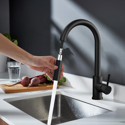 Rainsworth Küchenarmatur Schwarz mit ausziehbarer Brause, Edelstahl