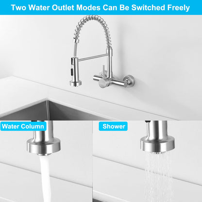 Tondiy Küchenarmatur Wandmontage Brause - Matt Edelstahl