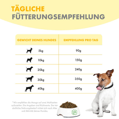 Irish Pure Hundetrockenfutter Adult - Freiland-Huhn 12kg