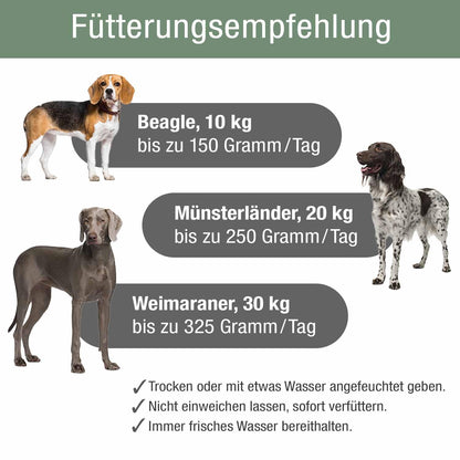 PLATINUM Adult Beef Hundefutter trocken aus Fleischsaftgarung 5 kg