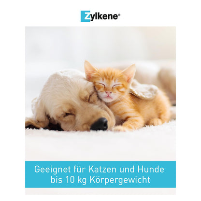Zylkene 75 mg Kapseln – 100 Stk. für Katzen und kleine Hunde