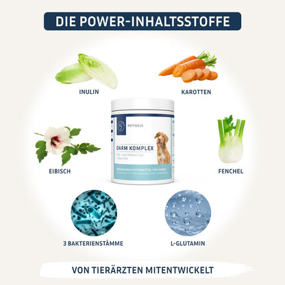 PetFokus Darm Komplex für Hunde – Ergänzungsfuttermittel