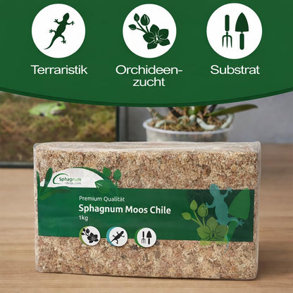 Sphagnum Moos aus Chile 1 kg – Torfmoos Substrat für Orchideen
