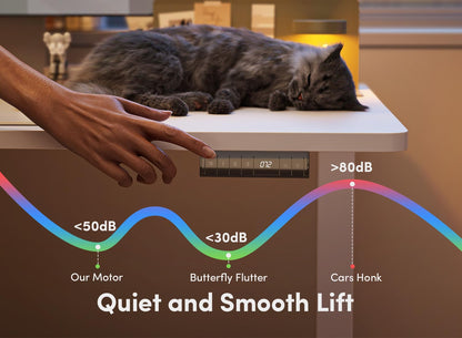 FEZIBO Schreibtisch Höhenverstellbar Elektrisch - USB-C 100x60 Weiss