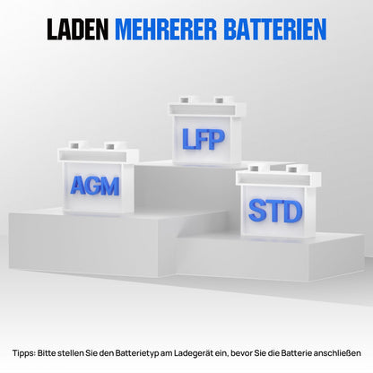 ECO-WORTHY 12V/24V 20A LiFePO4 Batterieladegerät Multi-Current
