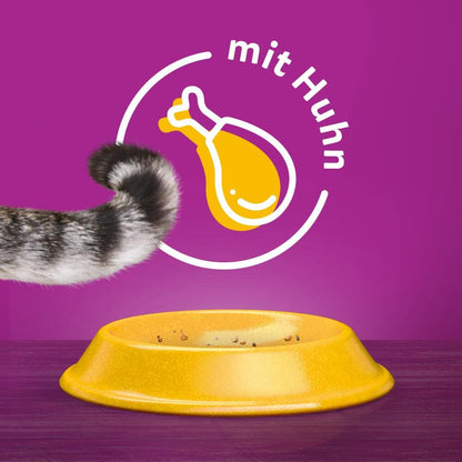 WHISKAS Senior Katzentrockenfutter mit Huhn, 4 x 1,9 kg