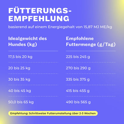 HEY HOLY Premium Trockenfutter für Retriever - Lamm getreidefrei 14kg