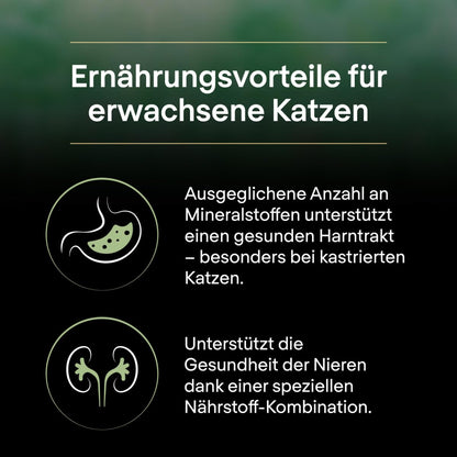 PURINA PRO PLAN LIVECLEAR STERILISED ADULT Katzenfutter - Truthahn