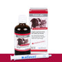 Alfavet Pulmo alfa Saft Doppelpack für Hund und Katze, 2 x 100 ml, Ergänzungsfuttermittel mit Dosierspritze