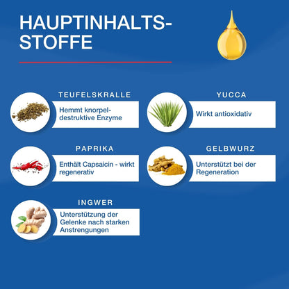 NutriLabs Quattro-Dolor forte Bewegungssaft Teufelskralle Pferd 1 L