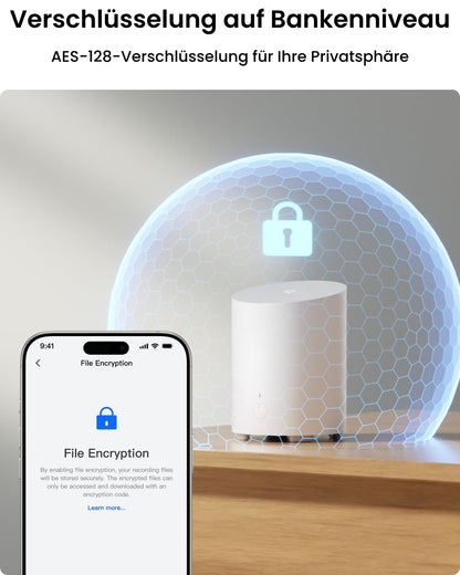 Reolink 2K Überwachungskamera Aussen Set mit Home Hub Mini & Solar