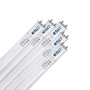 eLITe T8 LED Röhre 150cm - Tageslichtweiss 5er-Pack: Gefrostete weiße LED-Röhre (150cm) für helle Tageslichtweiss-Beleuchtung in T8-Fassungen.