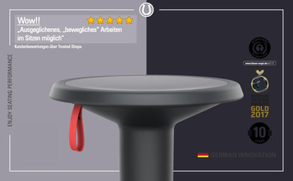 Interstuhl UPis1 Ergonomischer Designhocker - Schwarz