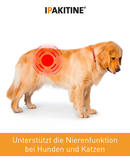 Vetoquinol Ipakitine 300 g Ergänzungsfuttermittel für Hunde und Katzen