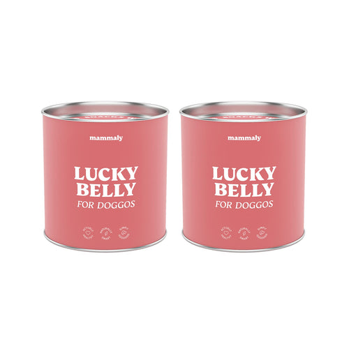 mammaly Lucky Belly 220 Drops Probiotika Hund Verdauung - 650g. Braune. Stärkt Darmflora & Verdauung.
