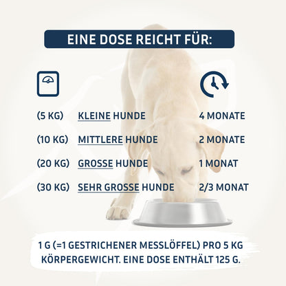 PetFokus Darm Komplex für Hunde – Ergänzungsfuttermittel